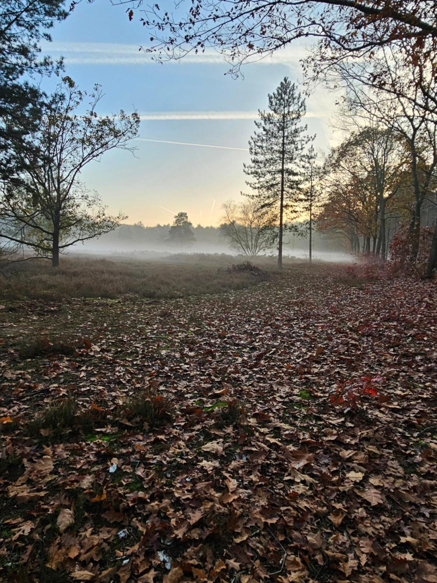 Bed And Breakfast Bij Ons In Het Bos Bergen op Zoom Esterno foto