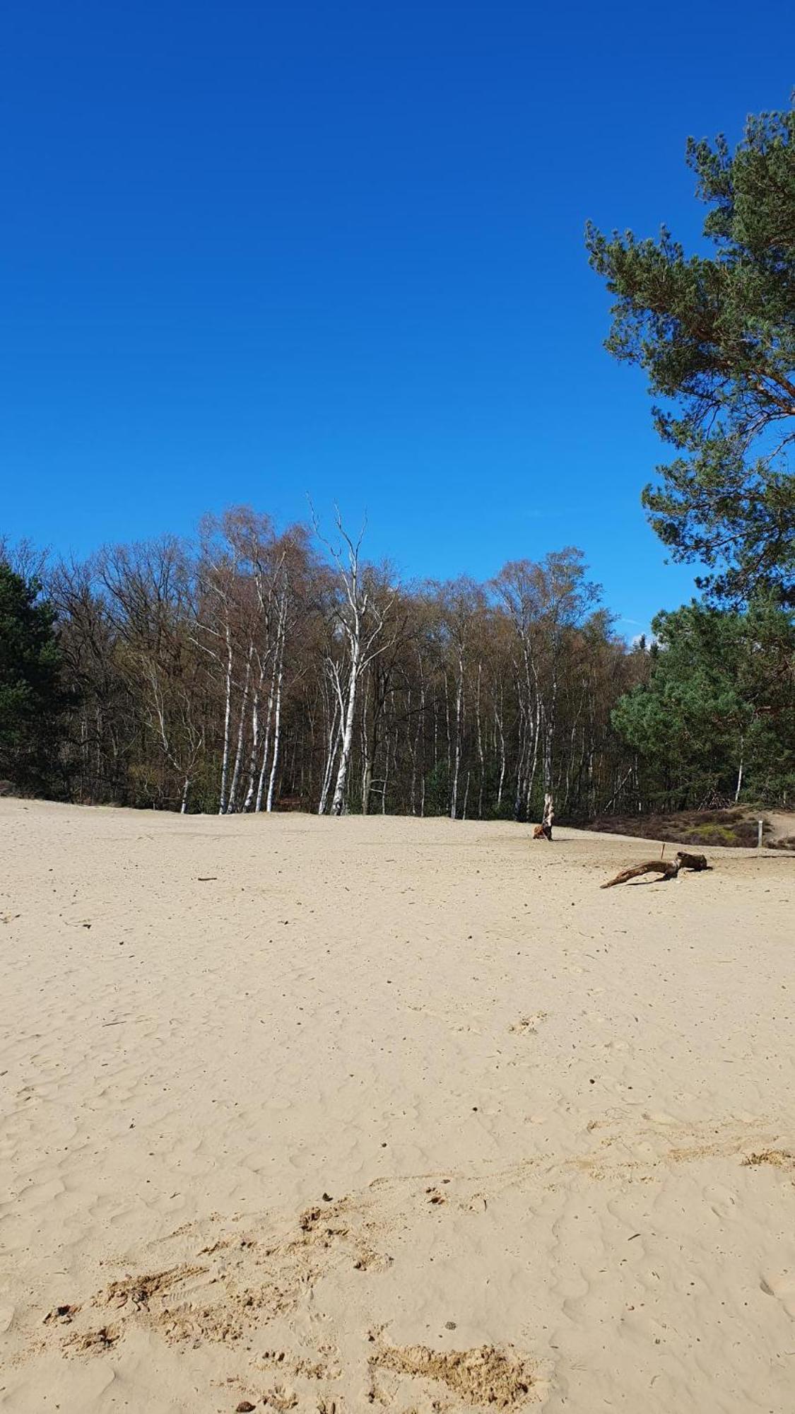 Bed And Breakfast Bij Ons In Het Bos Bergen op Zoom Esterno foto