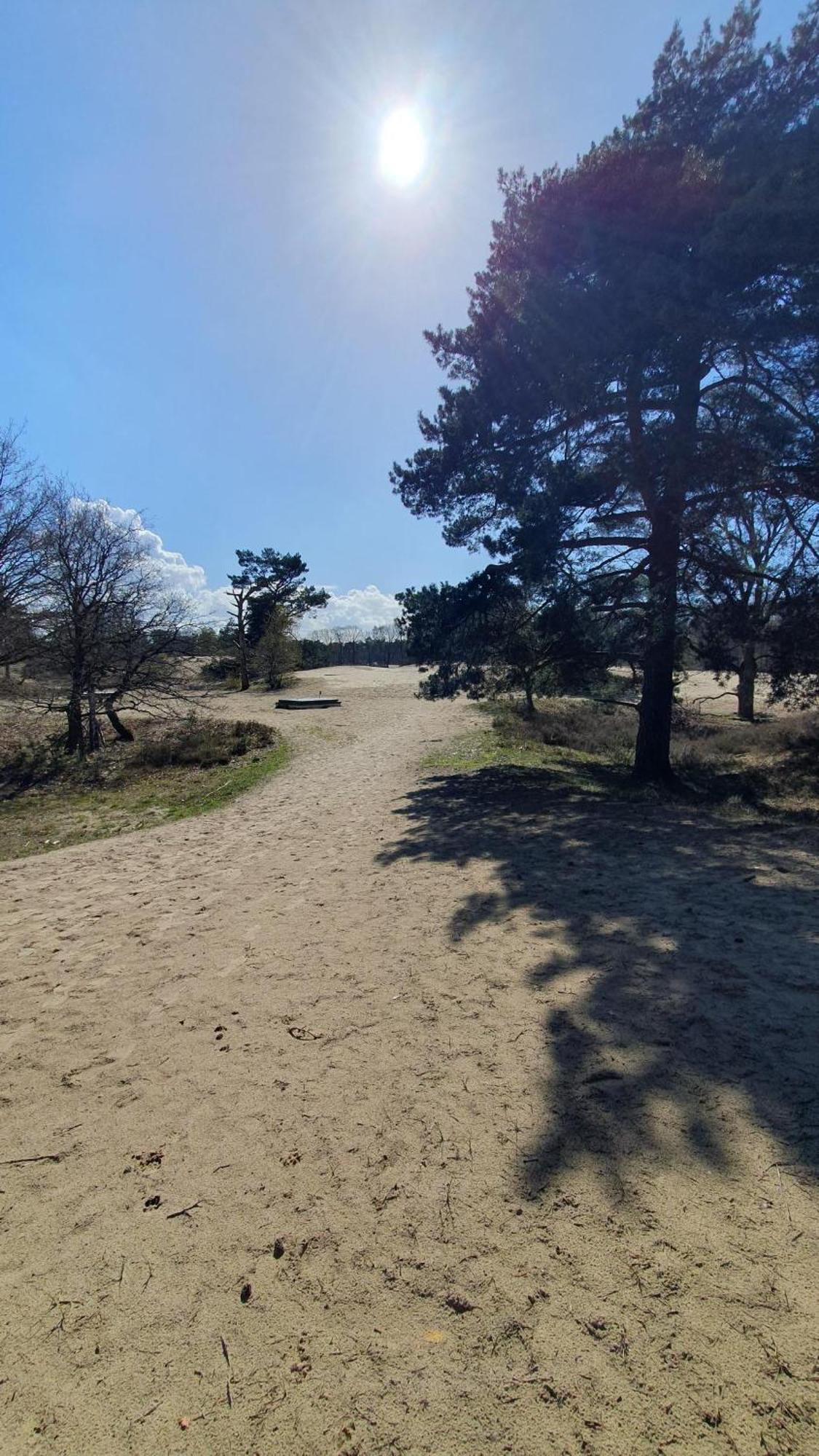 Bed And Breakfast Bij Ons In Het Bos Bergen op Zoom Esterno foto